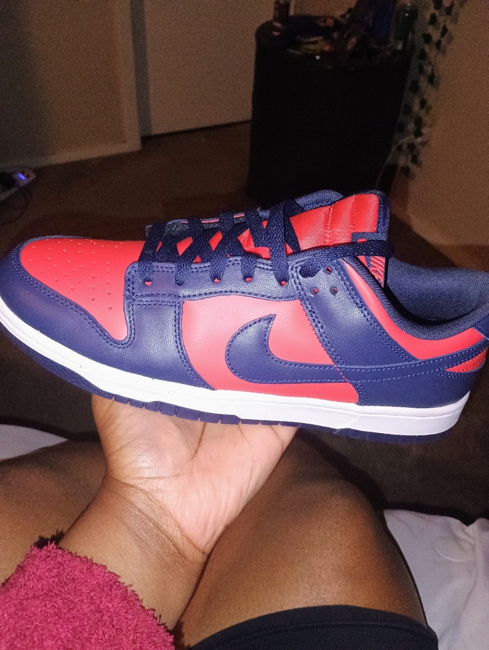 Nike Low Top Sneaker in Red & Navy